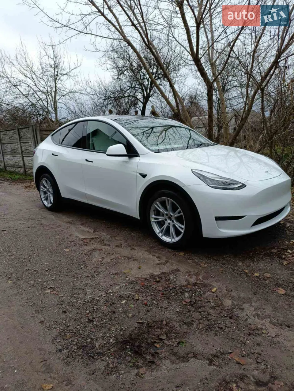 2023 Tesla Model Y - мініатюра 10