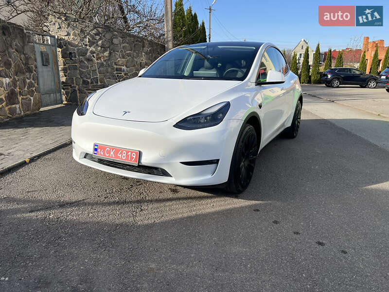 Позашляховик / Кросовер Tesla Model Y 2022 в Самборі