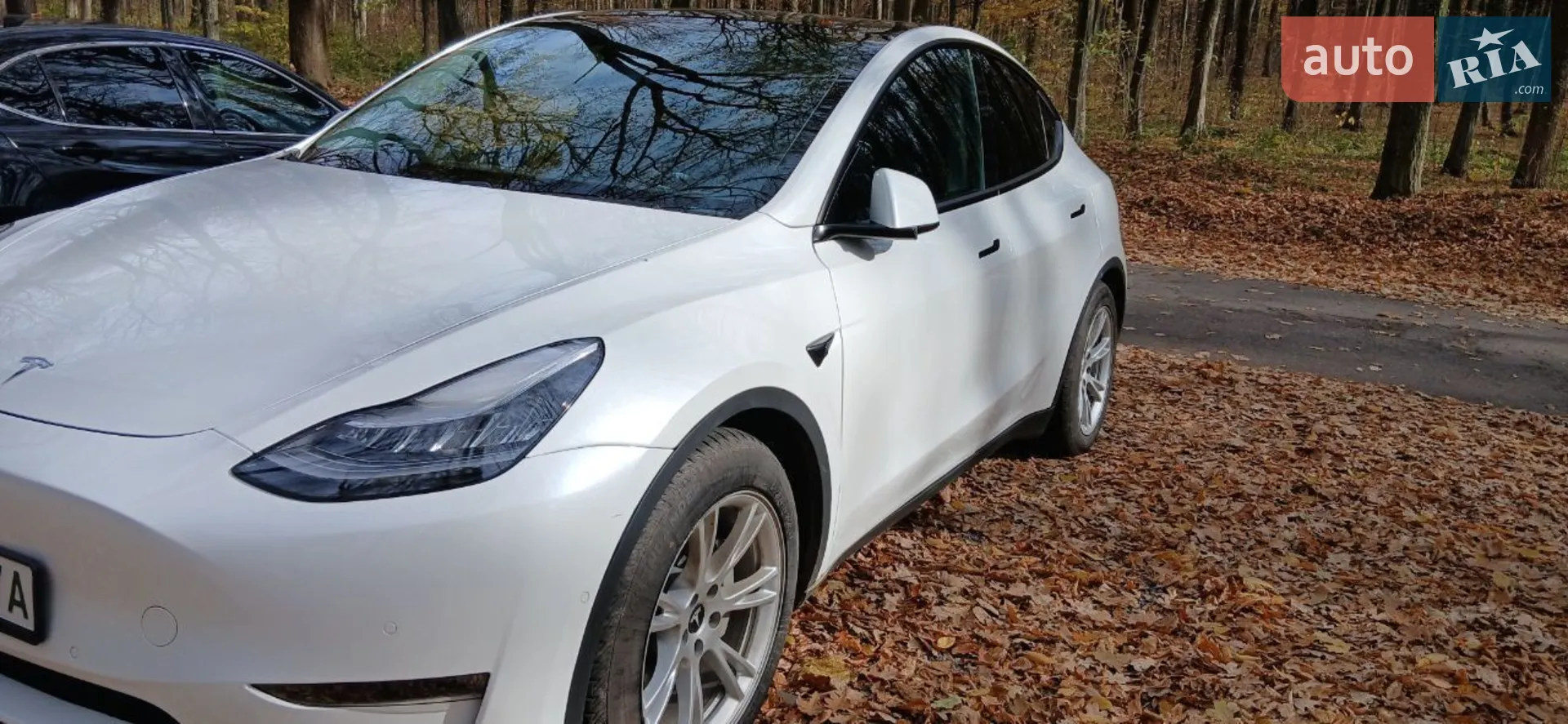 2020 Tesla Model Y - мініатюра 6