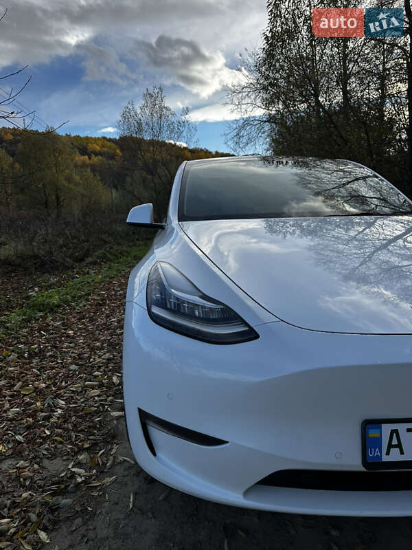 Внедорожник / Кроссовер Tesla Model Y 2022 в Богородчанах фото 3 Внедорожник / Кроссовер Tesla Model Y 2022 в Богородчанах