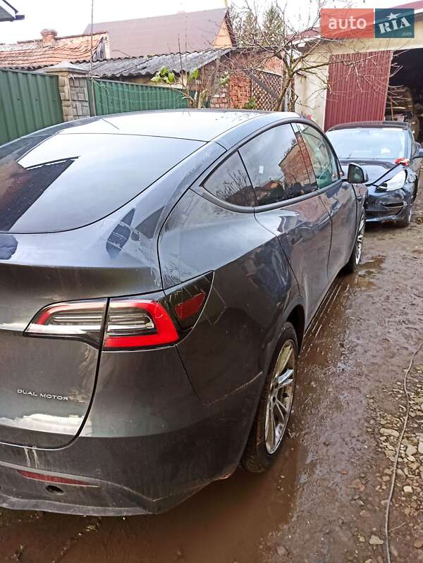 Позашляховик / Кросовер Tesla Model Y 2021 в Самборі