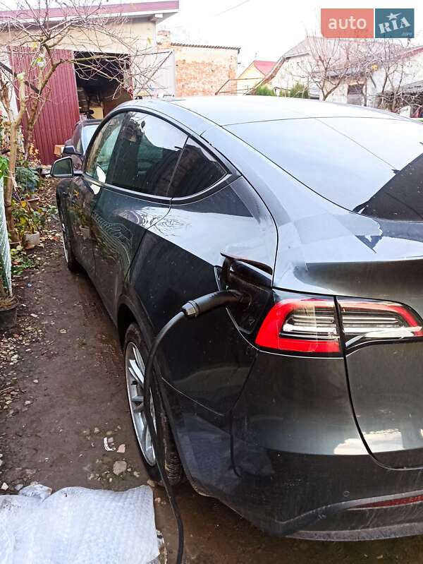 Позашляховик / Кросовер Tesla Model Y 2021 в Самборі