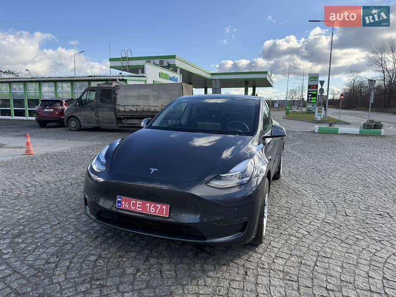 Позашляховик / Кросовер Tesla Model Y 2022 в Золочеві