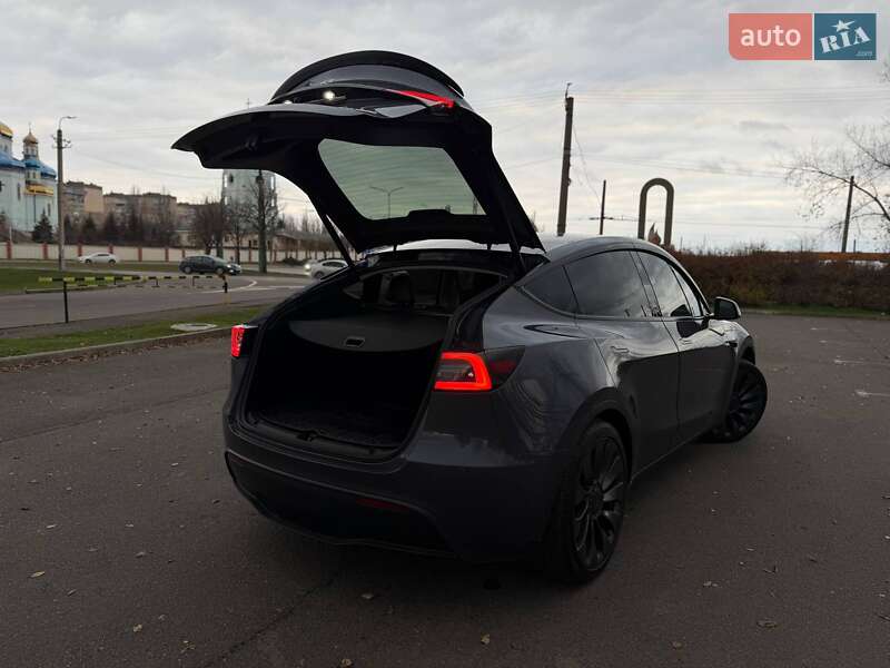 Внедорожник / Кроссовер Tesla Model Y 2023 в Кривом Роге