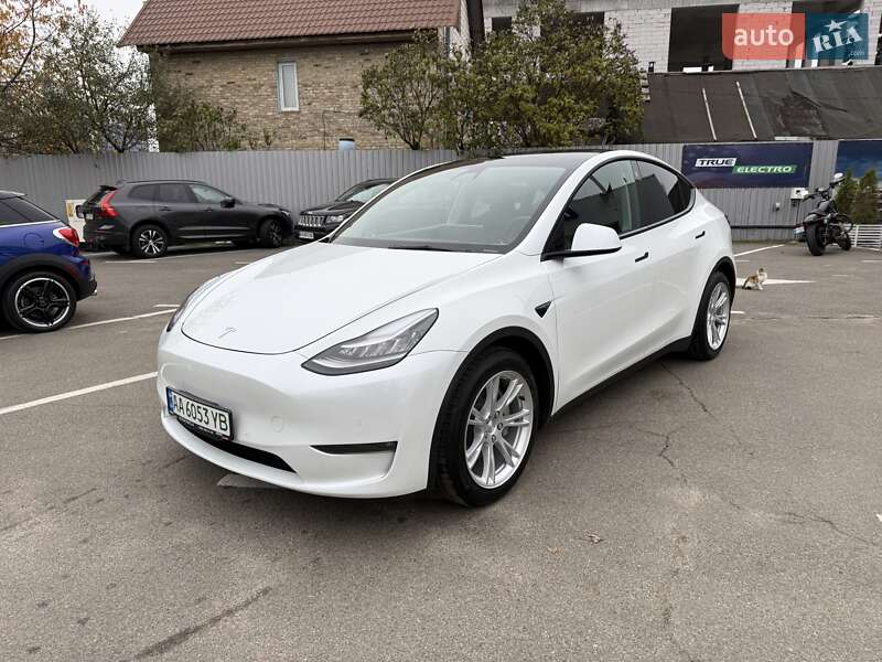 Позашляховик / Кросовер Tesla Model Y 2021 в Києві