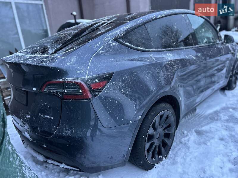 Внедорожник / Кроссовер Tesla Model Y 2023 в Львове