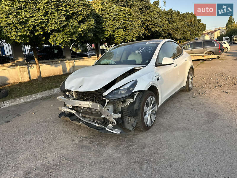 Позашляховик / Кросовер Tesla Model Y 2023 в Рівному