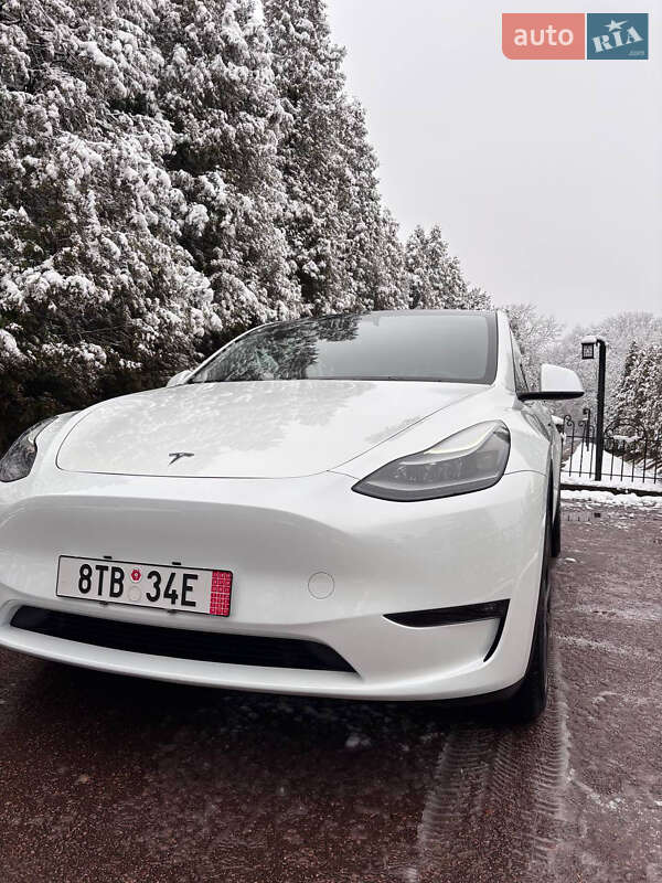 Позашляховик / Кросовер Tesla Model Y 2024 в Івано-Франківську