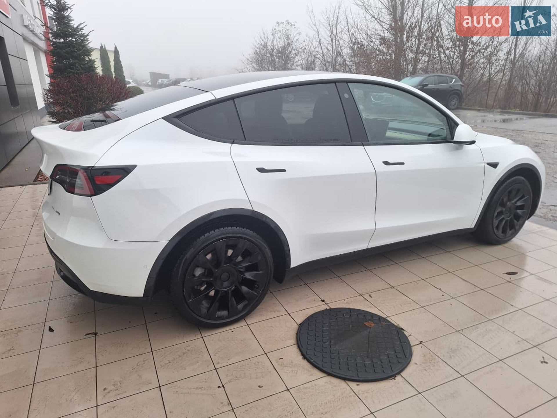 2021 Tesla Model Y - мініатюра 14