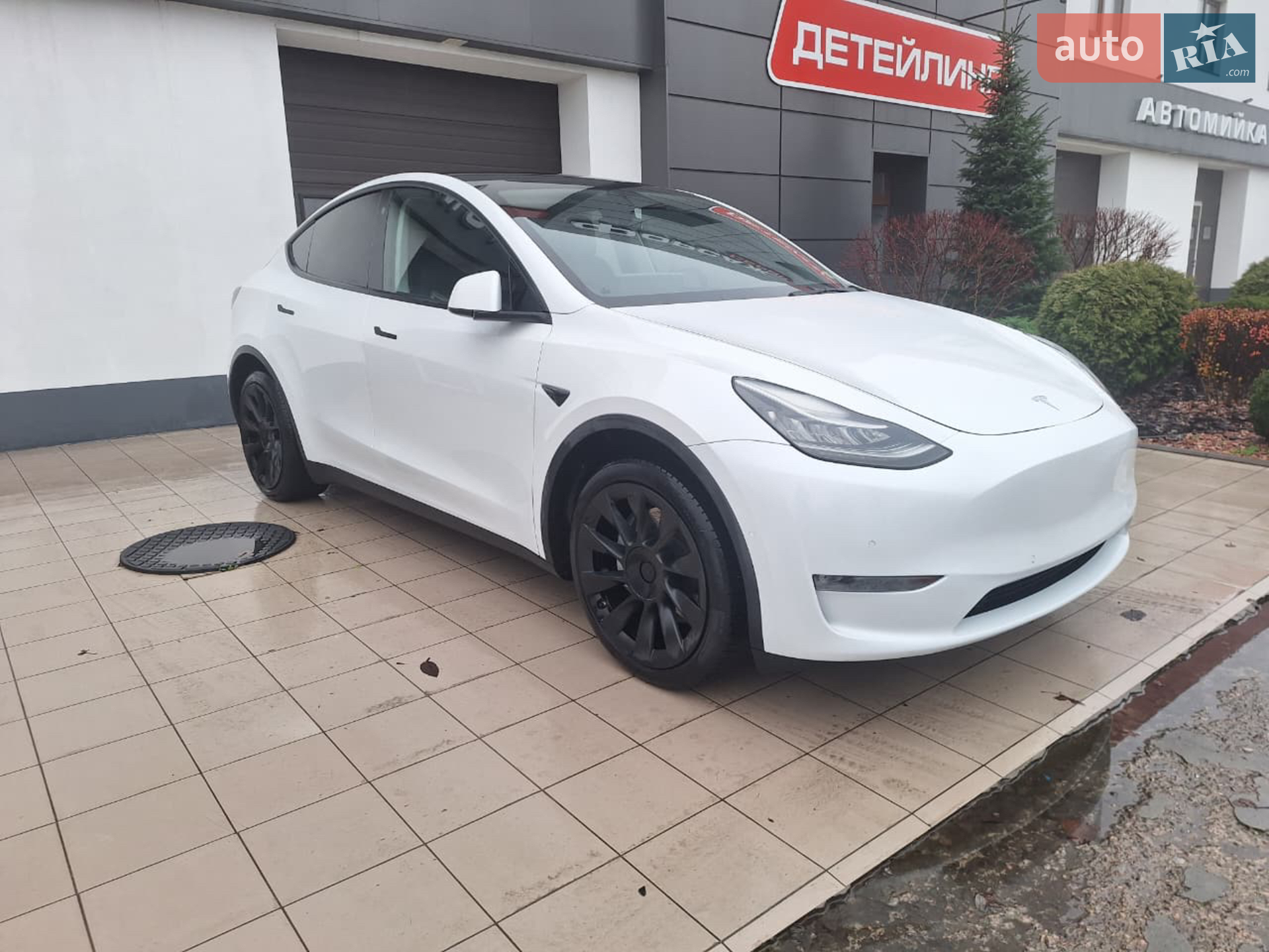 2021 Tesla Model Y - фото 1