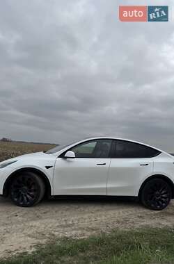 Позашляховик / Кросовер Tesla Model Y 2021 в Києві