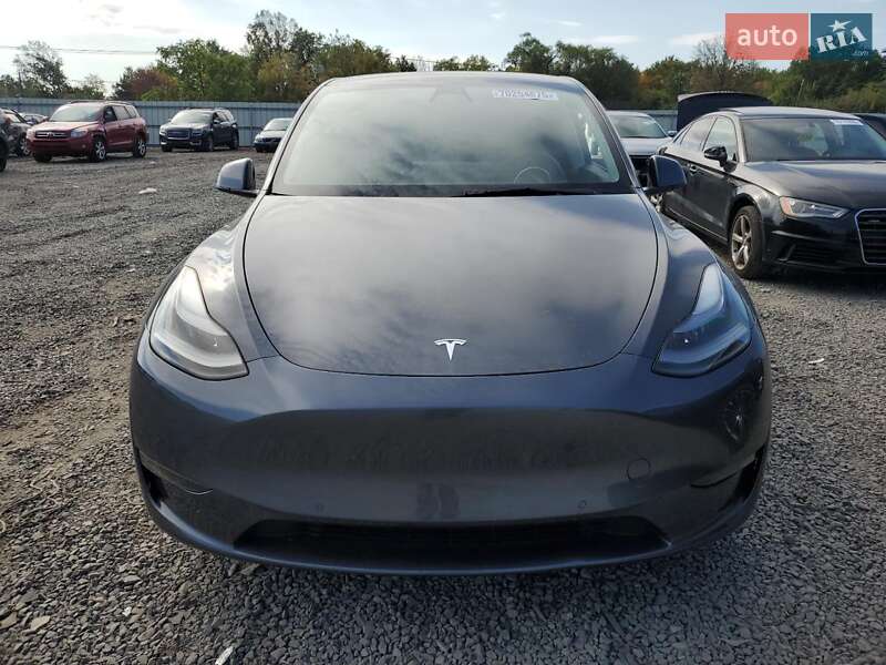 Позашляховик / Кросовер Tesla Model Y 2021 в Львові