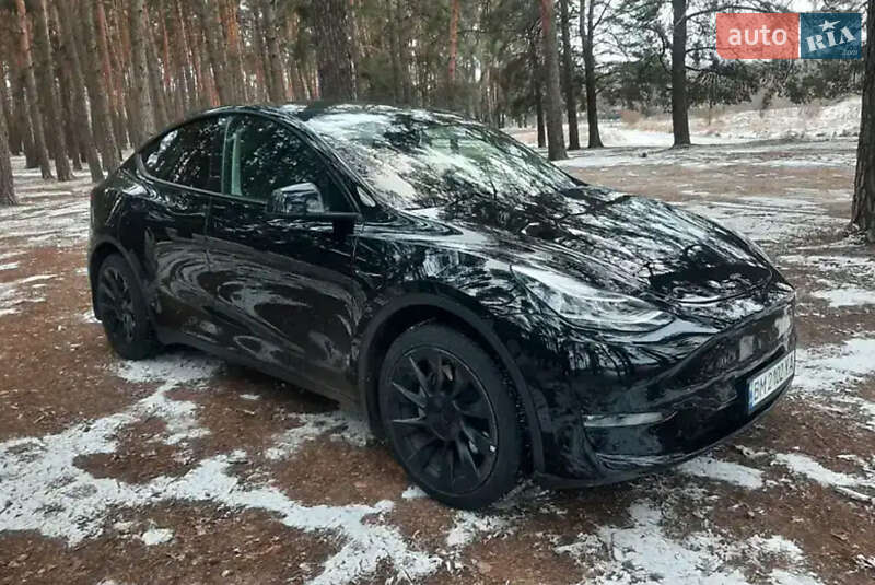Внедорожник / Кроссовер Tesla Model Y 2022 в Черновцах фото 11 Внедорожник / Кроссовер Tesla Model Y 2022 в Черновцах