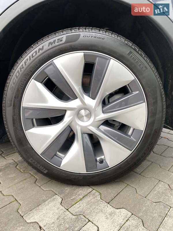 Позашляховик / Кросовер Tesla Model Y 2024 в Києві