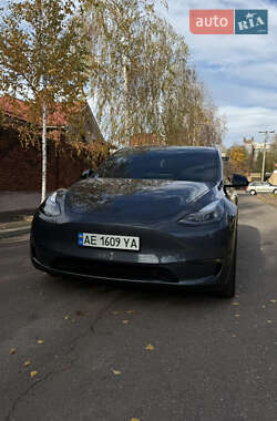 Внедорожник / Кроссовер Tesla Model Y 2023 в Кривом Роге