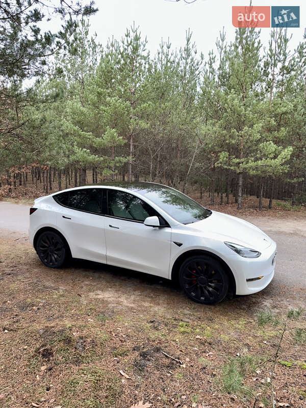 Внедорожник / Кроссовер Tesla Model Y 2023 в Киеве фото 7 Внедорожник / Кроссовер Tesla Model Y 2023 в Киеве