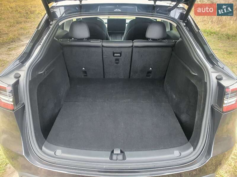 Внедорожник / Кроссовер Tesla Model Y 2024 в Киеве