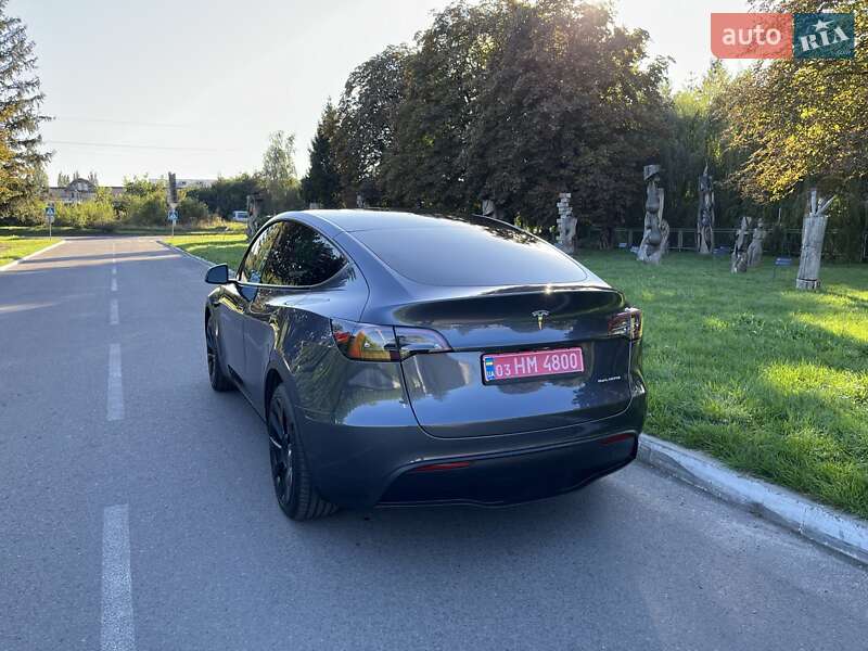 Внедорожник / Кроссовер Tesla Model Y 2023 в Луцке