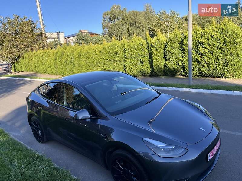 Внедорожник / Кроссовер Tesla Model Y 2023 в Луцке