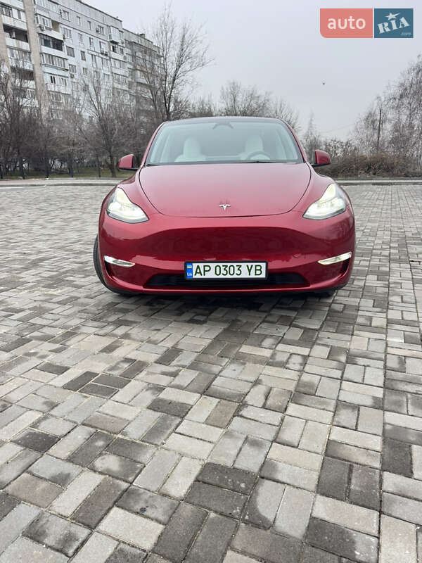 Внедорожник / Кроссовер Tesla Model Y 2024 в Запорожье