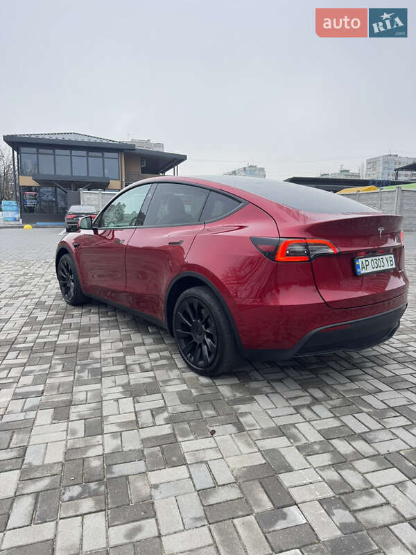 Внедорожник / Кроссовер Tesla Model Y 2024 в Запорожье