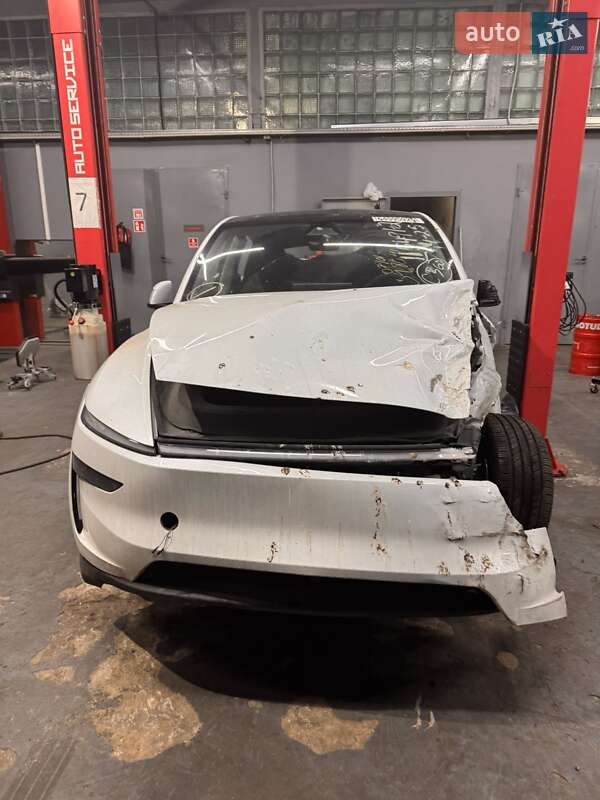 Внедорожник / Кроссовер Tesla Model Y 2025 в Киеве