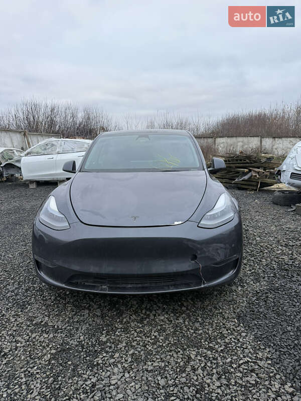 Внедорожник / Кроссовер Tesla Model Y 2022 в Луцке