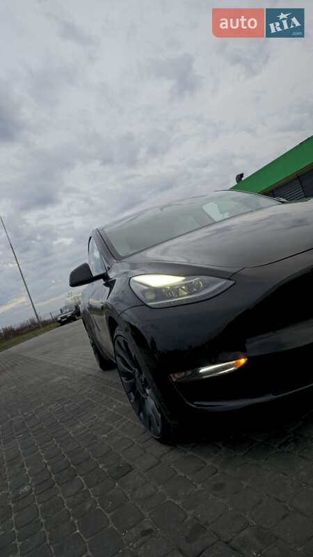 Позашляховик / Кросовер Tesla Model Y 2024 в Львові