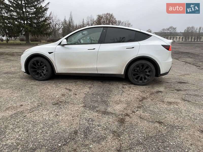 Внедорожник / Кроссовер Tesla Model Y 2020 в Харькове