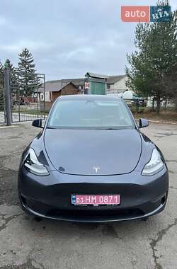 Позашляховик / Кросовер Tesla Model Y 2021 в Острозі