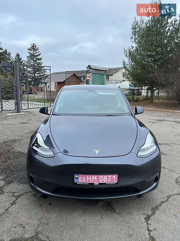 Внедорожник / Кроссовер Tesla Model Y 2021 в Остроге фото Внедорожник / Кроссовер Tesla Model Y 2021 в Остроге