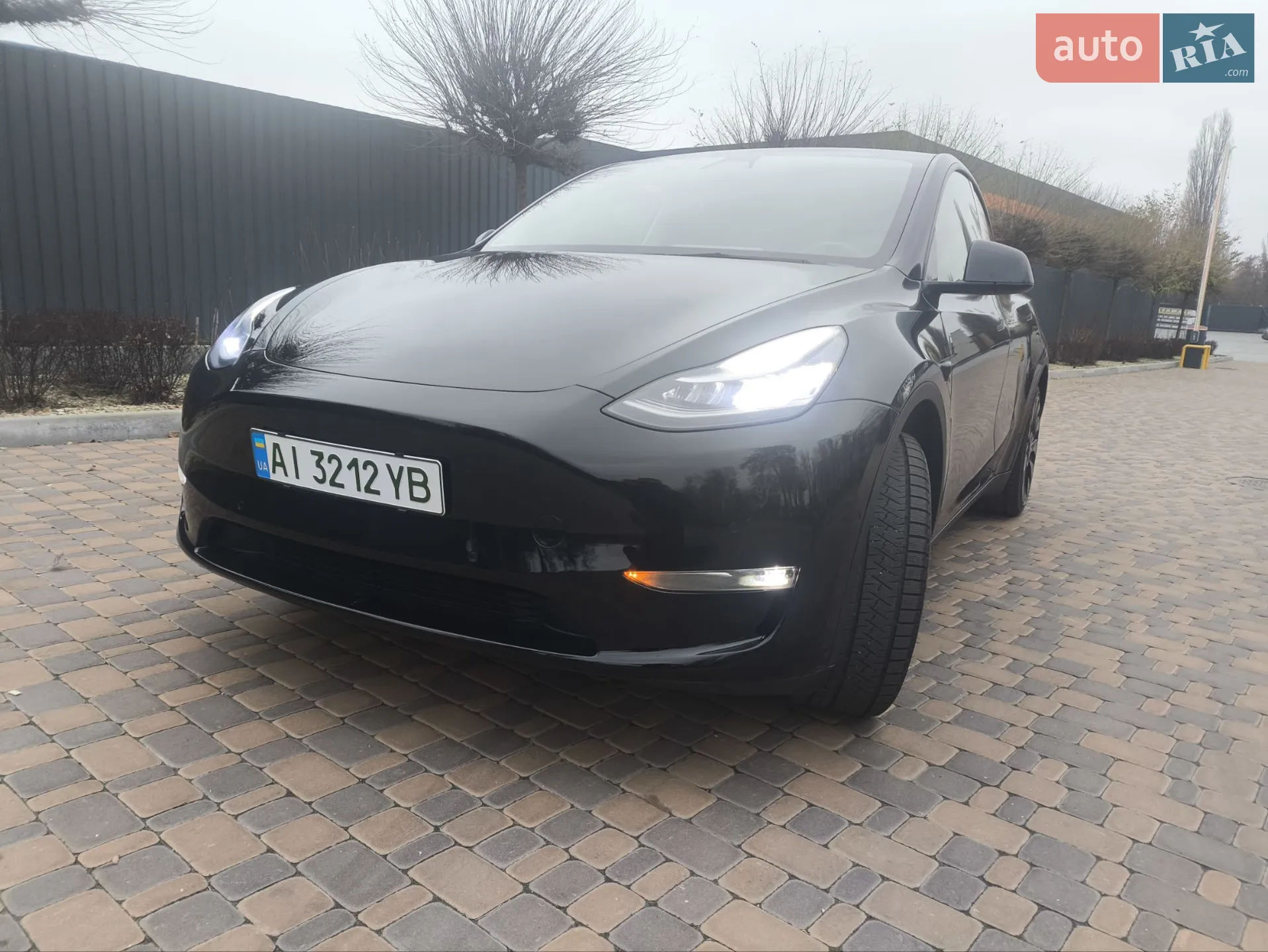 2021 Tesla Model Y - мініатюра 2