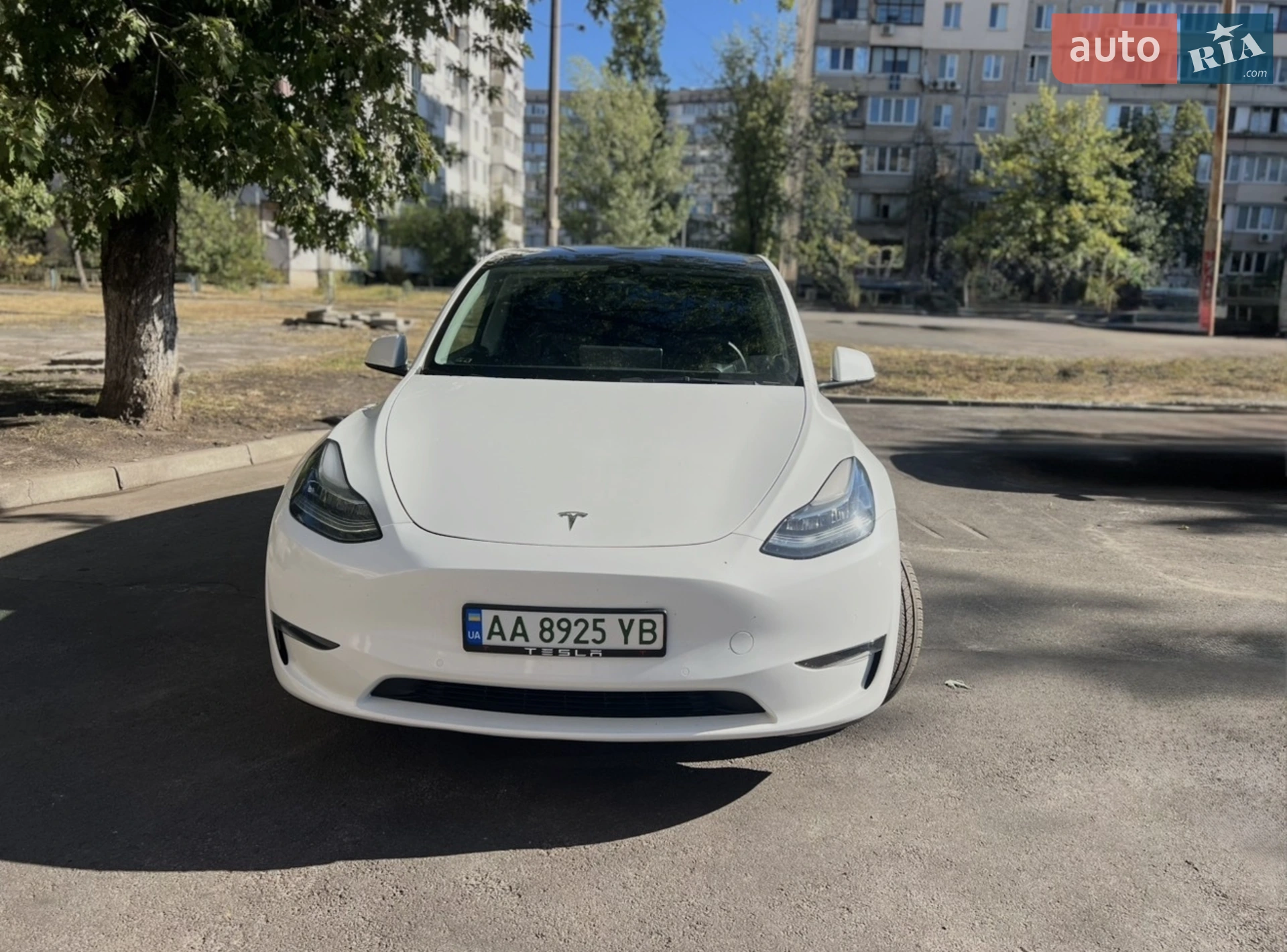 2022 Tesla Model Y - фото 1