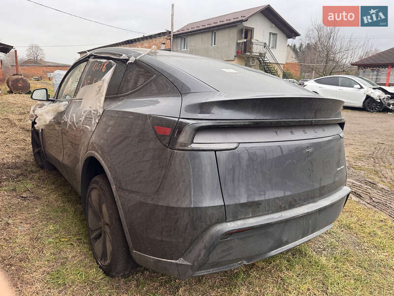 Внедорожник / Кроссовер Tesla Model Y 2025 в Самборе фото 2 Внедорожник / Кроссовер Tesla Model Y 2025 в Самборе