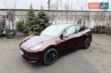 Внедорожник / Кроссовер Tesla Model Y 2023 в Днепре