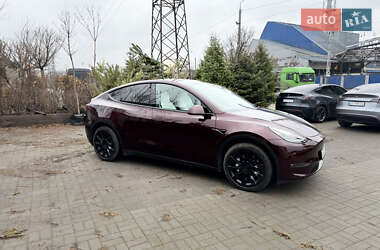 Внедорожник / Кроссовер Tesla Model Y 2023 в Днепре