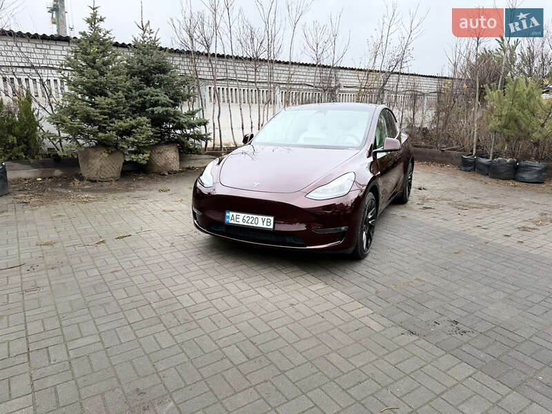 Внедорожник / Кроссовер Tesla Model Y 2023 в Днепре фото 13 Внедорожник / Кроссовер Tesla Model Y 2023 в Днепре