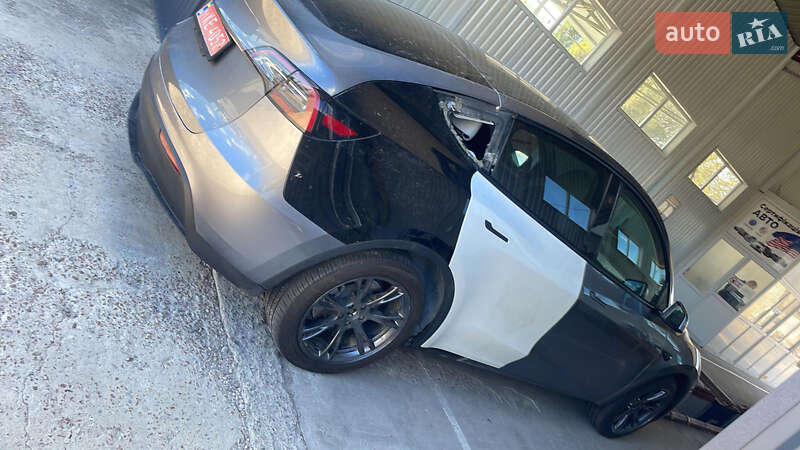 Внедорожник / Кроссовер Tesla Model Y 2024 в Житомире