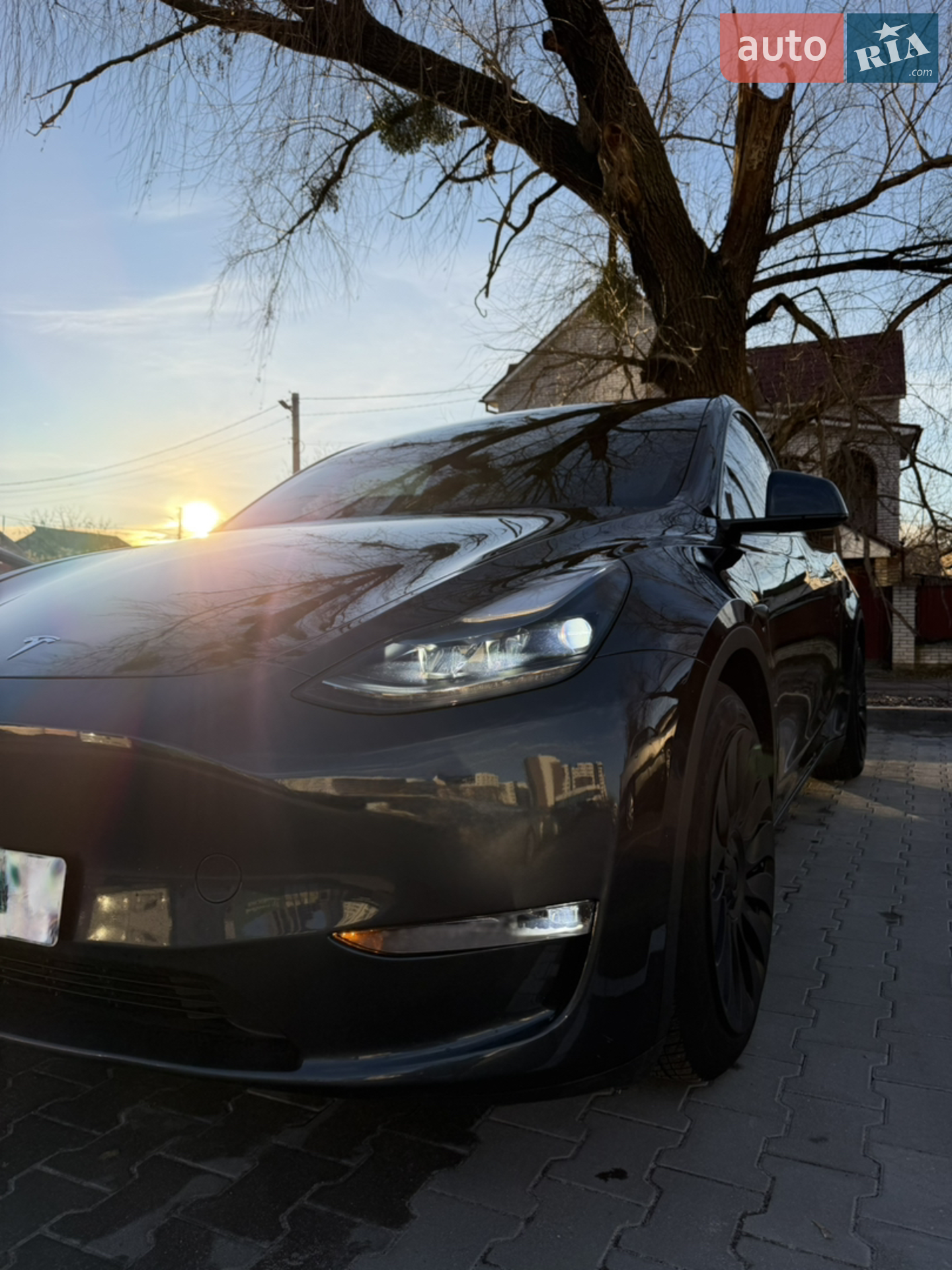 2024 Tesla Model Y - фото 1