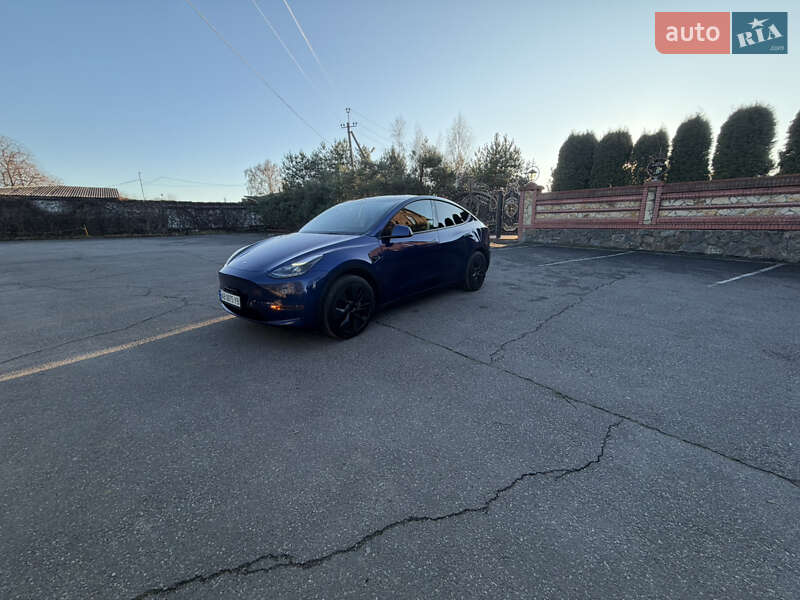 Внедорожник / Кроссовер Tesla Model Y 2024 в Виннице