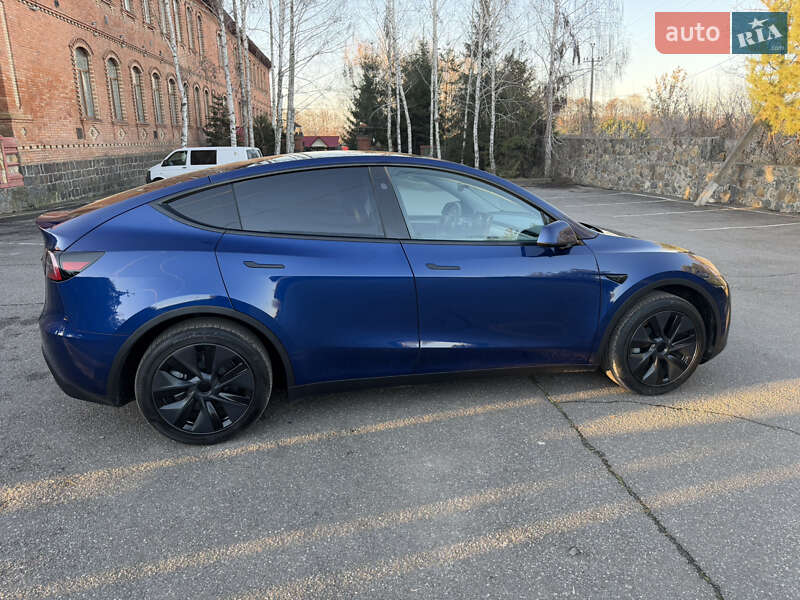 Внедорожник / Кроссовер Tesla Model Y 2024 в Виннице