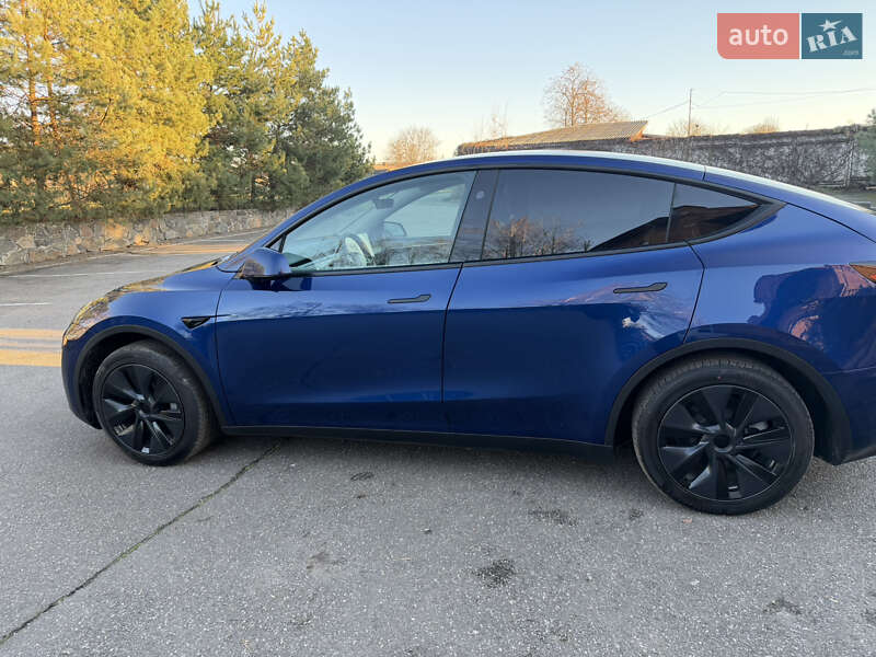Внедорожник / Кроссовер Tesla Model Y 2024 в Виннице