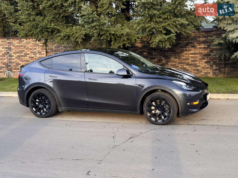 Позашляховик / Кросовер Tesla Model Y 2024 в Києві