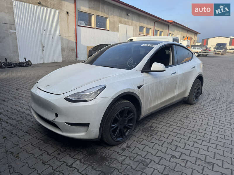 Внедорожник / Кроссовер Tesla Model Y 2023 в Луцке