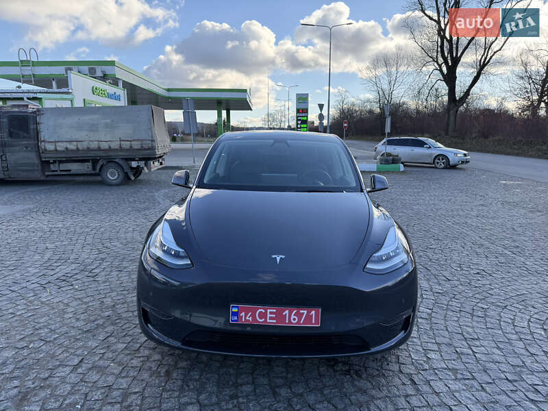 Внедорожник / Кроссовер Tesla Model Y 2021 в Золочеве
