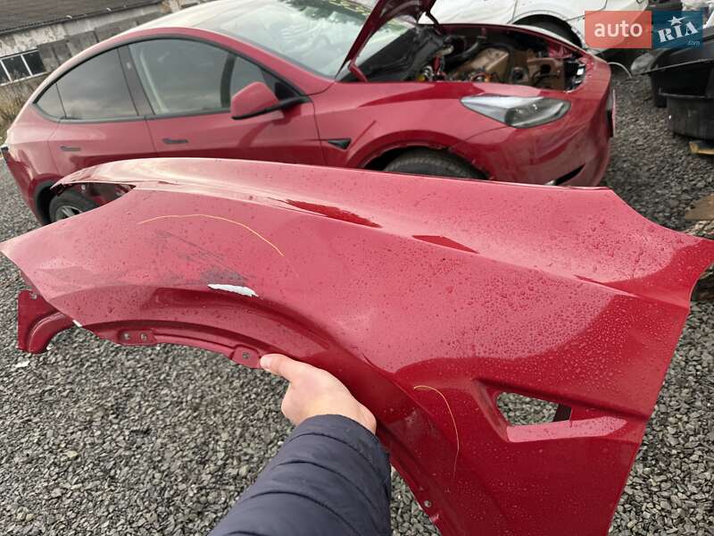 Внедорожник / Кроссовер Tesla Model Y 2023 в Луцке