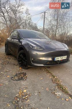 Внедорожник / Кроссовер Tesla Model Y 2023 в Олевске