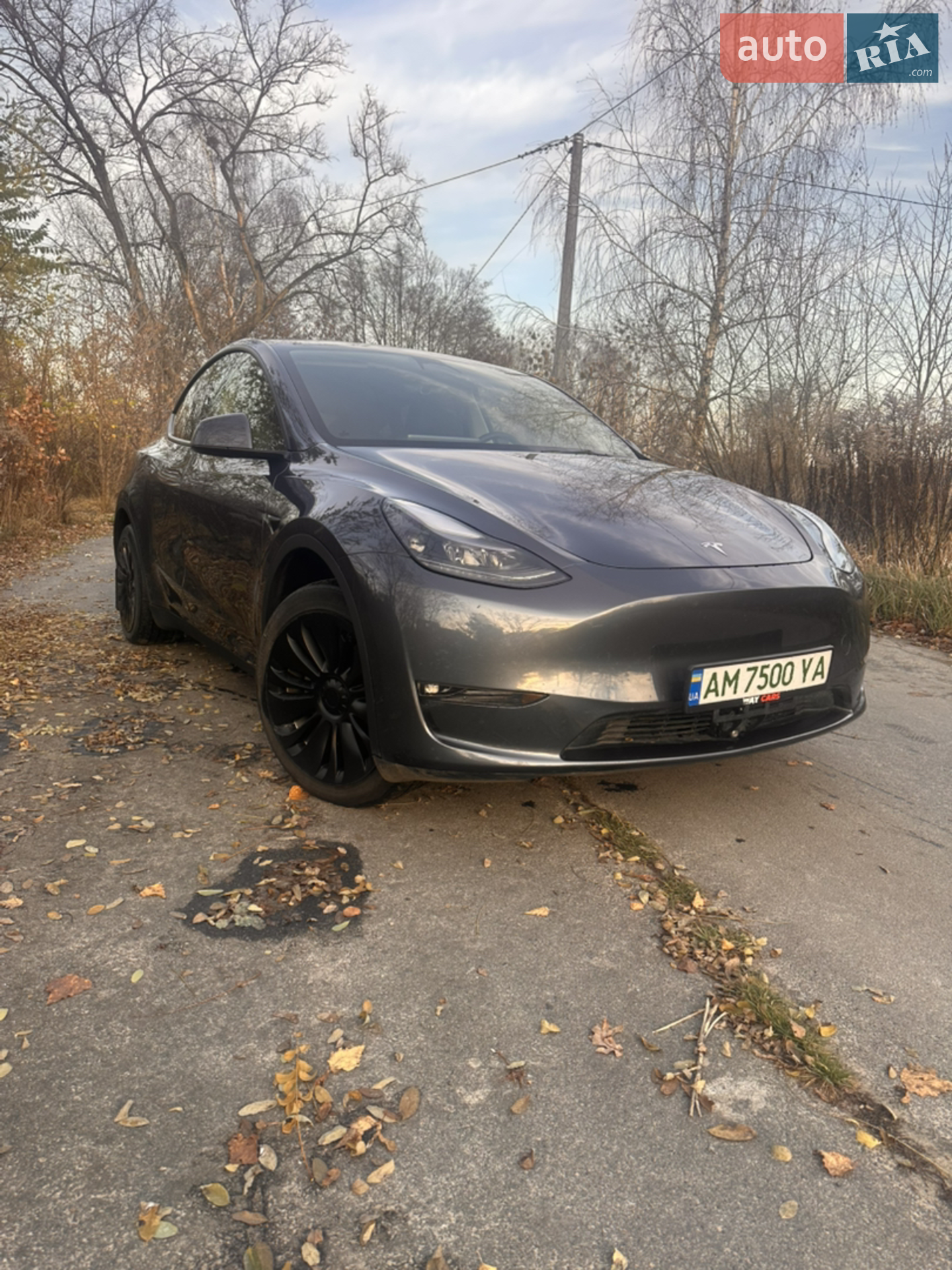 2023 Tesla Model Y - фото 1