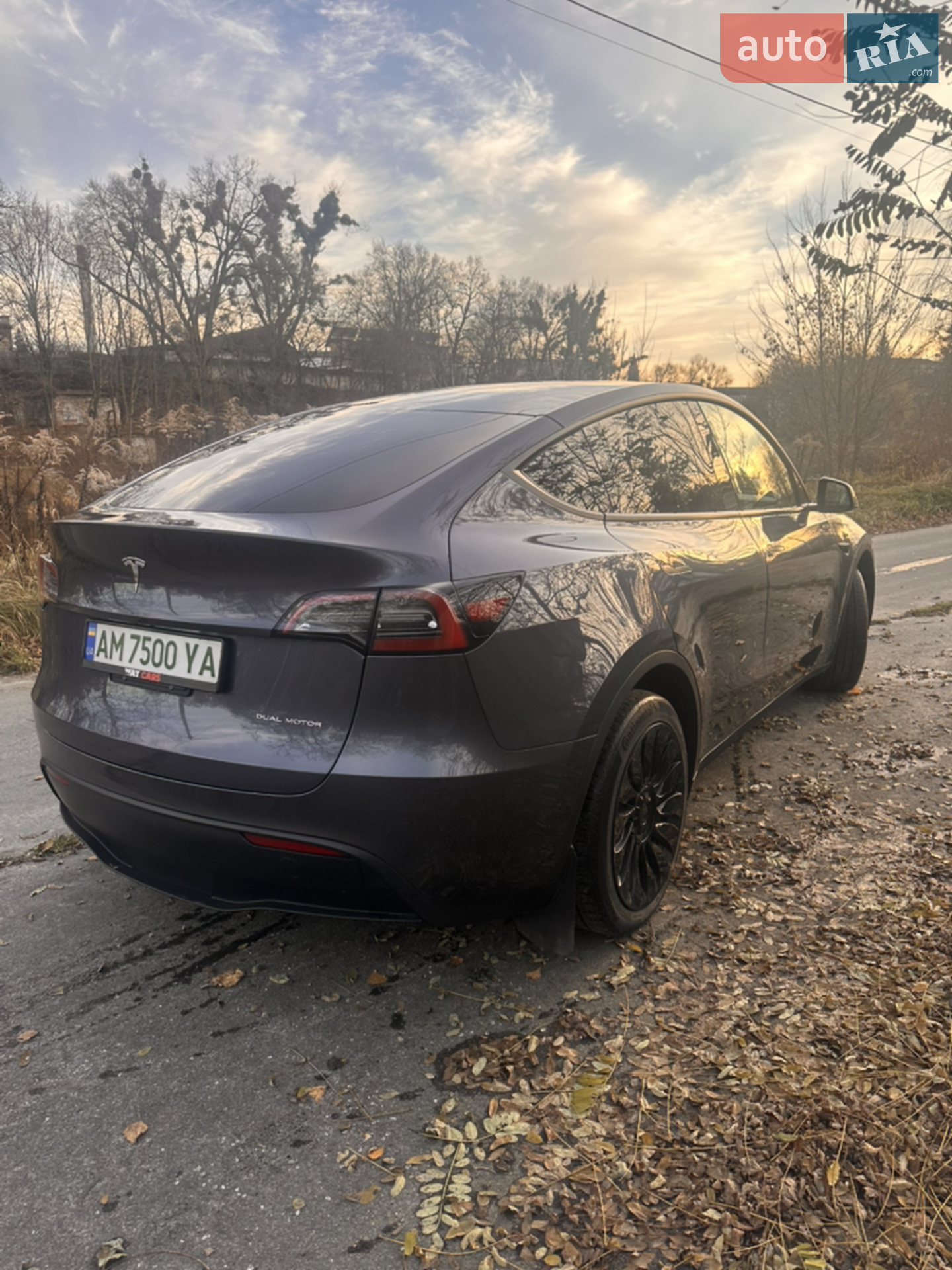 2023 Tesla Model Y - мініатюра 5