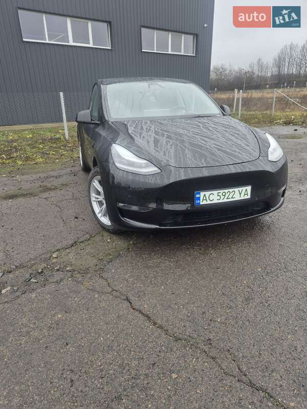 Внедорожник / Кроссовер Tesla Model Y 2021 в Луцке